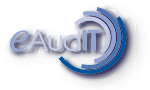 eAudit logo